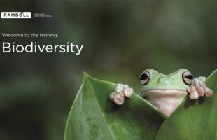 biodiversiteetti-ramboll-e-learning