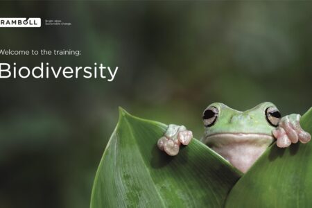 biodiversiteetti-ramboll-e-learning